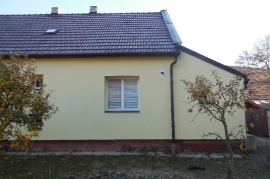 DSCN5981
